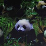 Terlenka stof panda digitaal bedrukt