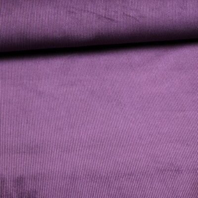 11 Wales Corduroy stretch Paars