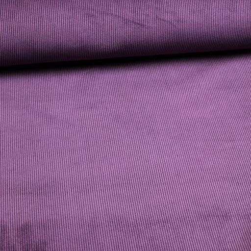 11 Wales Corduroy stretch Paars