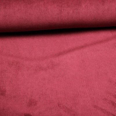 11 Wales Corduroy stretch Bordeaux